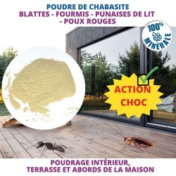 Acto Poudre de chabasite insectes rampants 100g - Image 2