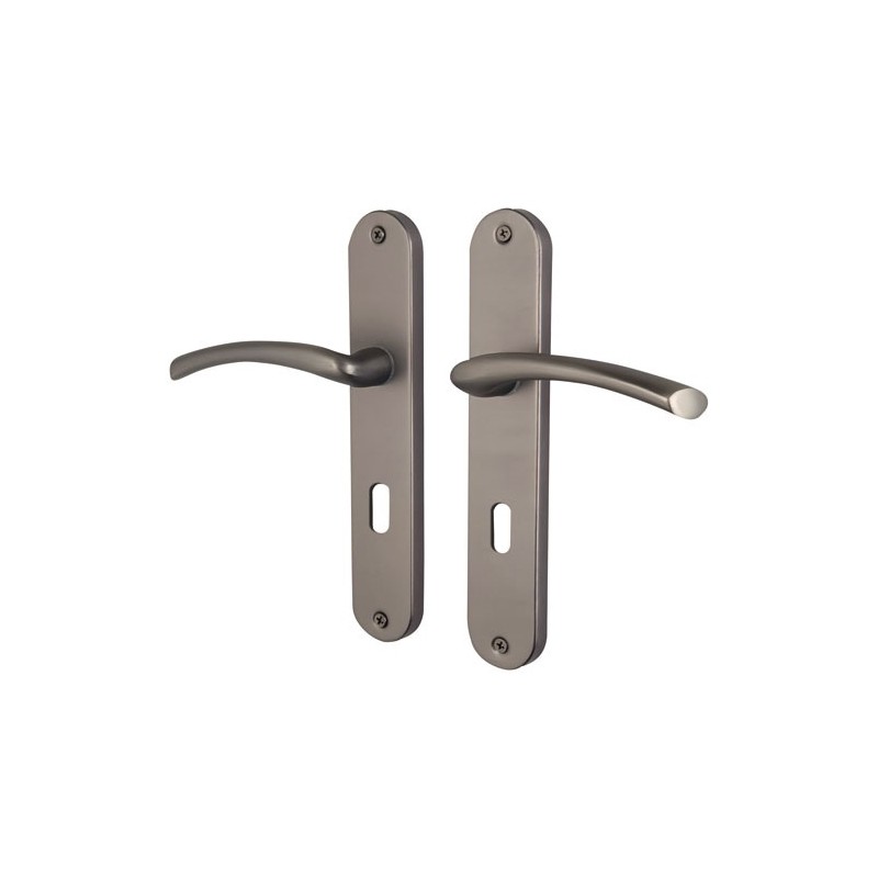 ALPERTEC Poignée de porte relief finition canon de fusil perçage cl