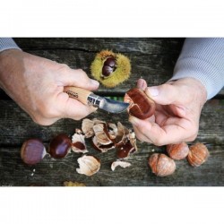 Opinel Couteau Châtaigne Ail et Dénoyautage - Tradition N°7 - Image 4