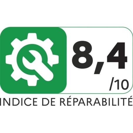 Aspirateur à main - Extenso cyclonic - AC4769
