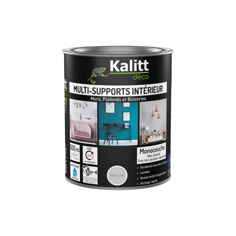 KALITT DECO Peinture multi-supports 0,5 L Acrylique Mat - Gris Clair