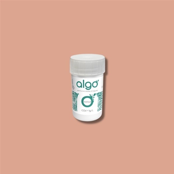 Algo Testeur de peinture déco terre cuite 50 ml