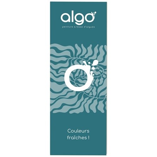 Algo Nuancier peinture