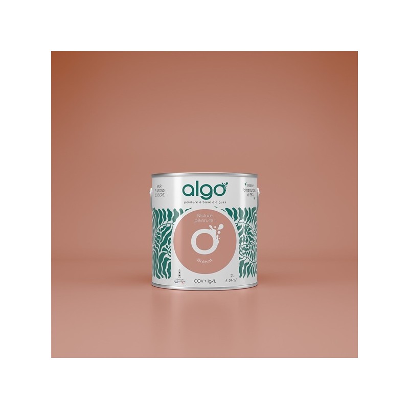 Algo Peint.intér.déco multi-supports rose bréhat mat 0.5 L