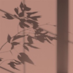 Algo Peint.intér.déco multi-supports rose bréhat mat 0.5 L - Image 2