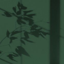 Algo Peint.intér.déco multi-supports vert forêt de pins mat 0.5 L - Image 2