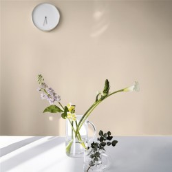 Algo Peinture intérieure multi supports 0,5 L Velours - Beige Noisettes Coquette - Image 2