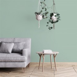 Algo Peinture intérieure multi supports 0,5 L Velours - Vert Reposant - Image 2