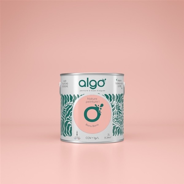 Algo Peint.intér.déco multi-supports rose bora bora satin 2 L