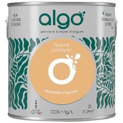 Peinture intérieure multi...