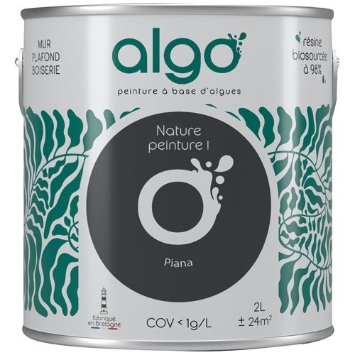 Algo Peinture intérieure multi supports 2 L Velours - Noir Piana