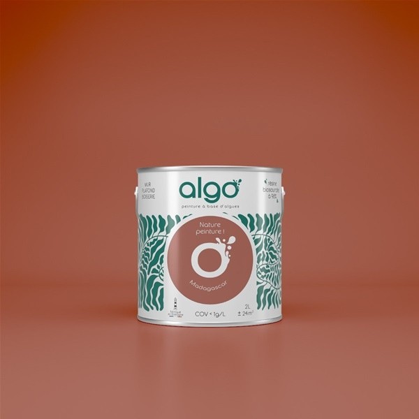 Algo Peint.intér.déco multi-supports terracotta madagascar velours 2 L