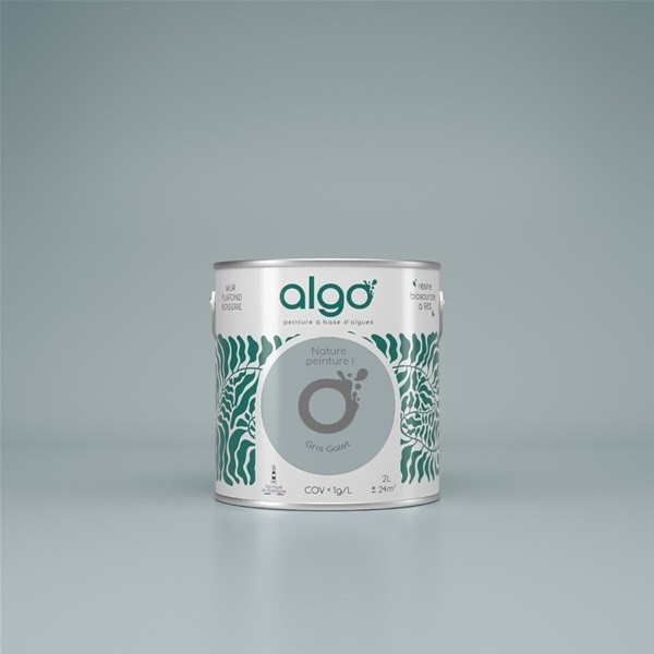 Algo Peint.intér.déco multi-supports gris galet mat 5 L