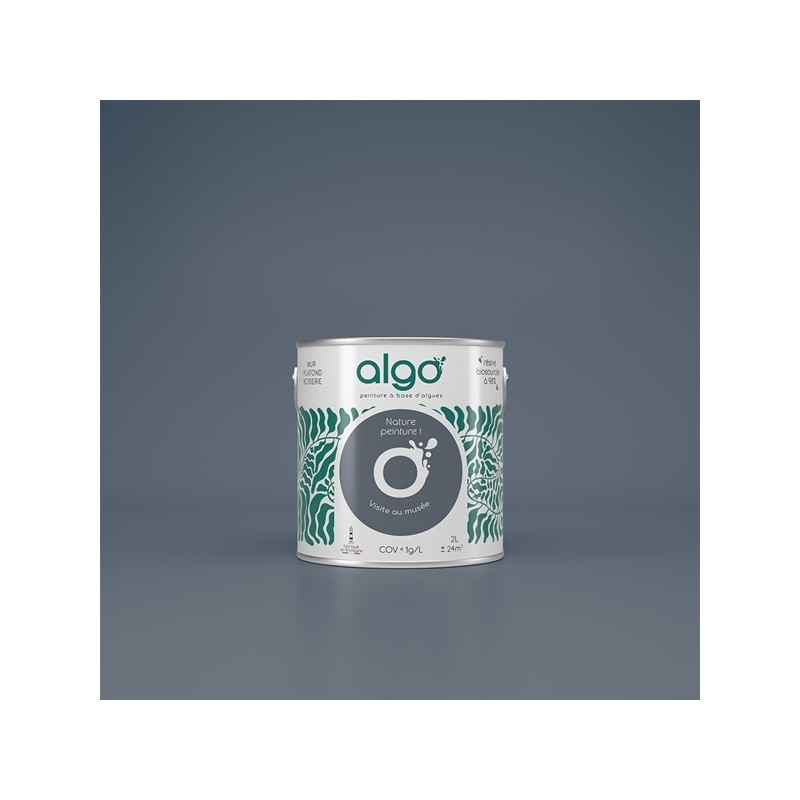 Algo Peint.intér.déco multi-supports gris visite au musée mat 5 L