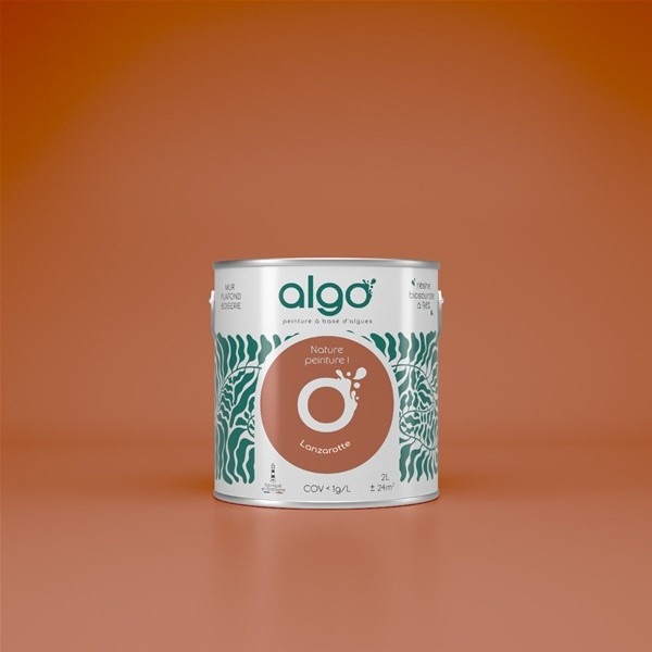 Algo Peint.intér.déco multi-supports lanzarotte mat 5 L