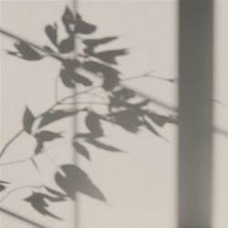 Algo Peint.intér.déco multi-supports beige nude satin 5 L - Image 2