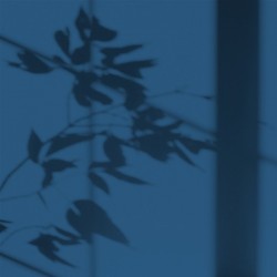 Algo Peint.intér.déco multi-supports bleu atlantique satin 5 L - Image 2