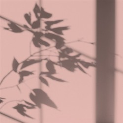 Algo Peint.intér.déco multi-supports rose bora bora mat 5 L - Image 2