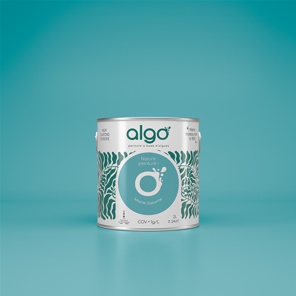 Algo Peint.intér.déco multi-supports bleu marie-galante satin 5 L