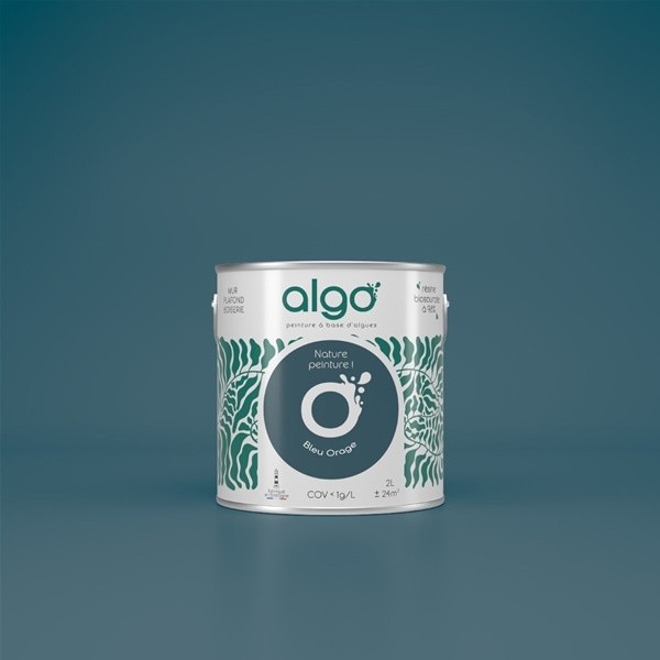 Algo Peint.intér.déco multi-supports bleu orage satin 5 L