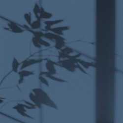 Algo Peint.intér.déco multi-supports bleu délicat satin 5 L - Image 2