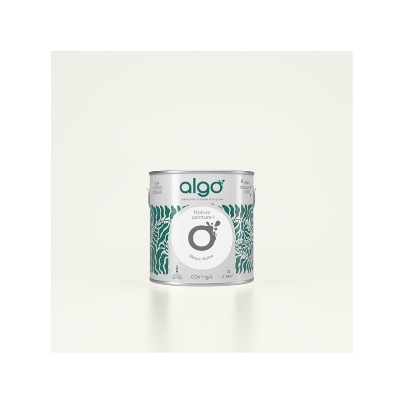 Algo Peint.intér.déco multi-supports blanc aube satin 5 L