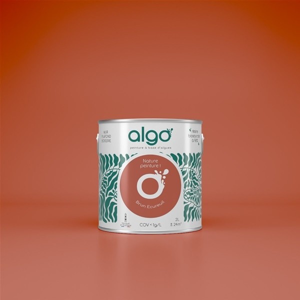 Algo Peint.intér.déco multi-supports brun écureuil satin 5 L