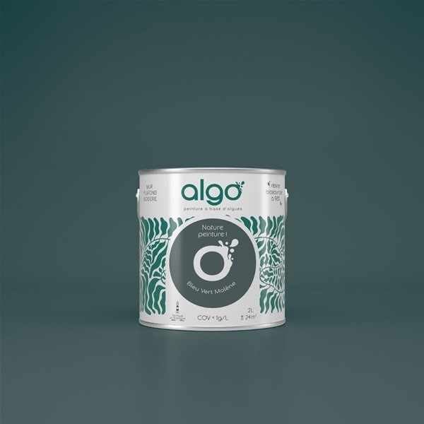 Algo Peint.intér.déco multi-supports bleu vert molène satin 5 L