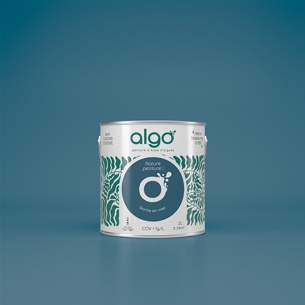 Algo Peint.intér.déco multi-supports bleu sortie en mer satin 5 L