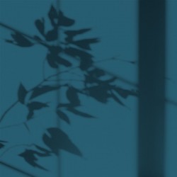 Algo Peint.intér.déco multi-supports bleu sortie en mer satin 5 L - Image 2
