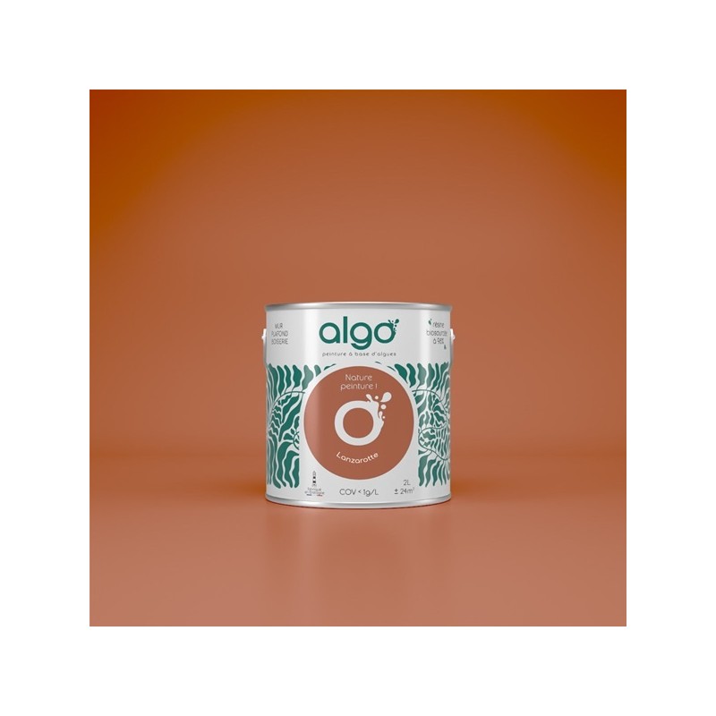 Algo Peint.intér.déco multi-supports lanzarotte satin 5 L
