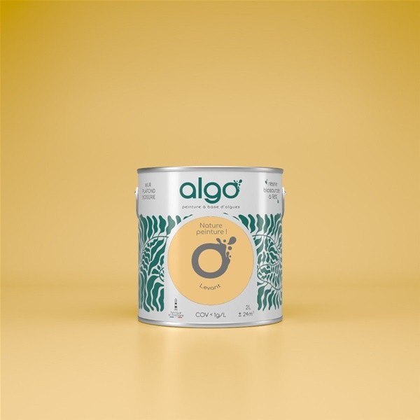 Algo Peint.intér.déco multi-supports jaune levant satin 5 L