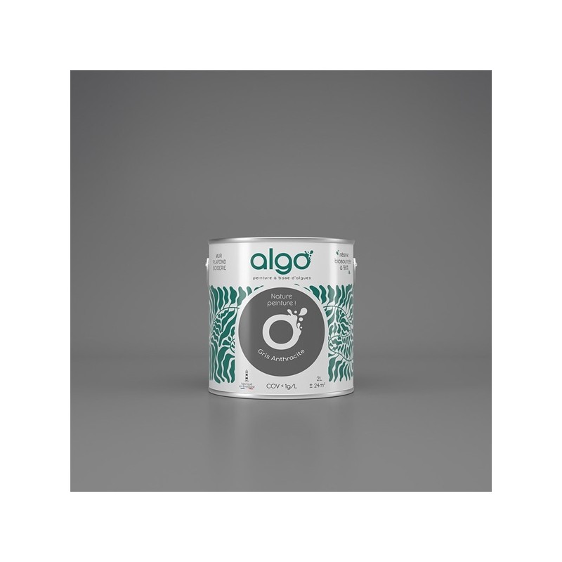 Algo Peint.intér.déco multi-supports gris anthracite satin 5 L