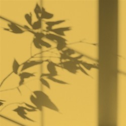 Algo Peint.intér.déco multi-supports jaune magnifique satin 5 L - Image 2