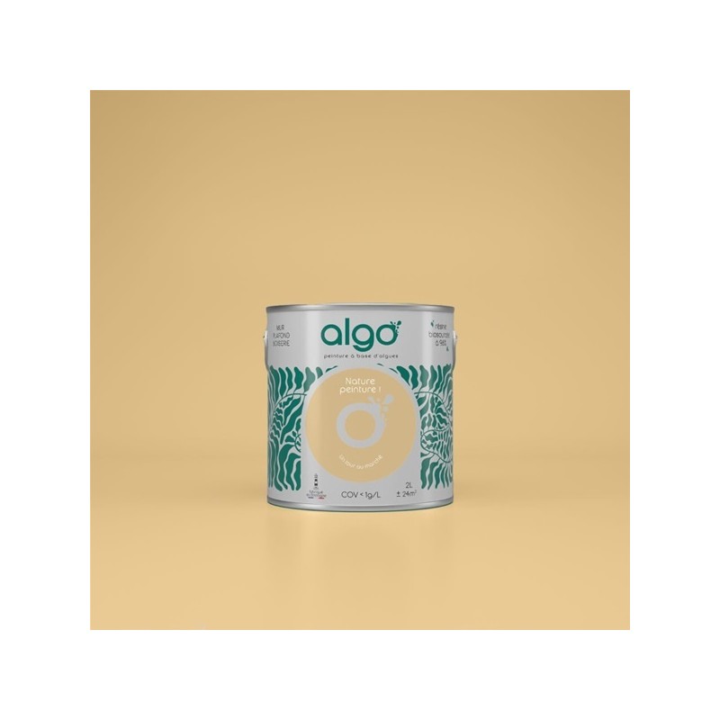 Algo Peint.intér.déco multi-supports jaune un tour au marché satin 5 L