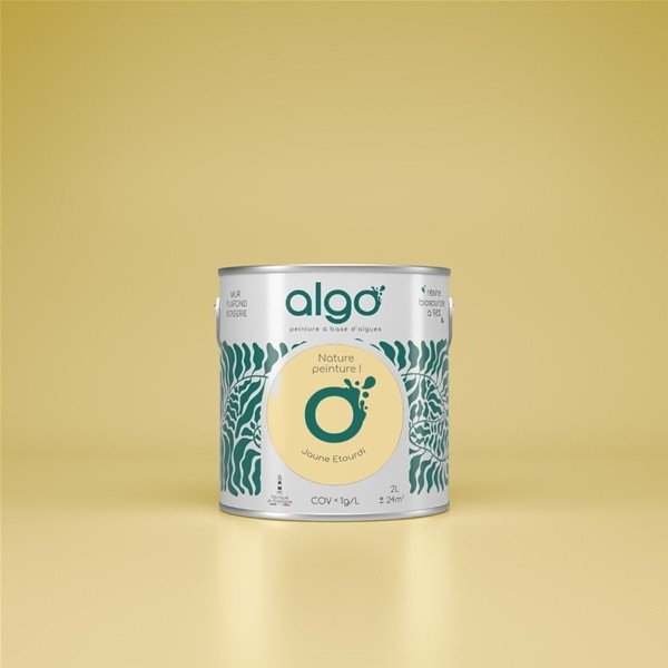 Algo Peint.intér.déco multi-supports jaune étourdi satin 5 L