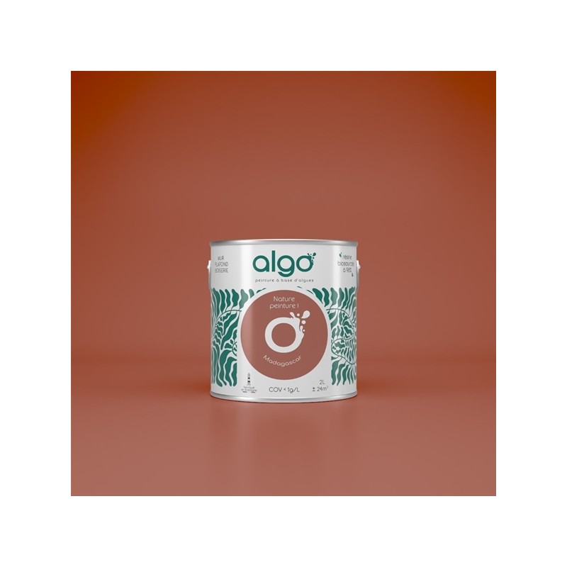 Algo Peint.intér.déco multi-supports terracotta madagascar satin 5 L