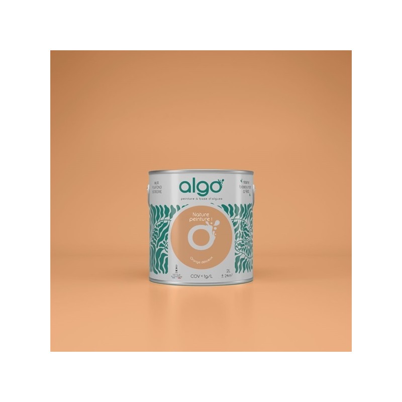 Algo Peint.intér.déco multi-supports orange délicieux satin 5 L