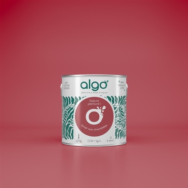 Algo Peint.intér.déco multi-supports rose diner aux chandelles satin 5 L