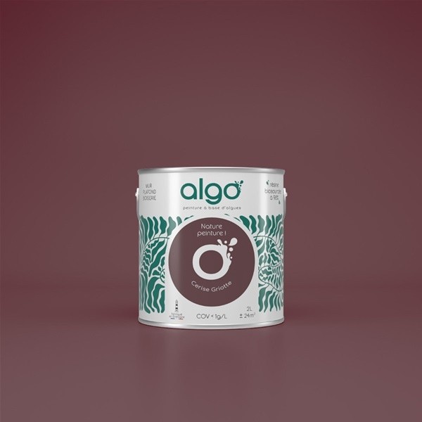 Algo Peint.intér.déco multi-supports rouge cerise griotte satin 5 L