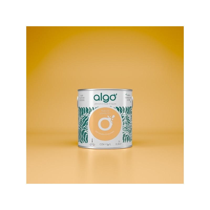 Algo Peint.intér.déco multi-supports jaune mirabelles exquises satin 5 L