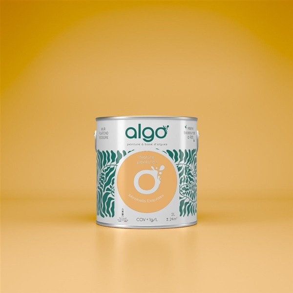 Algo Peint.intér.déco multi-supports jaune mirabelles exquises satin 5 L