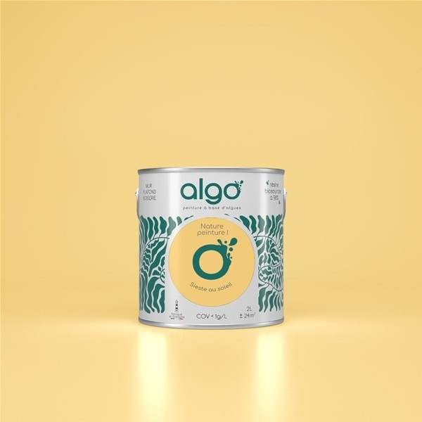 Algo Peint.intér.déco multi-supports jaune sieste au soleil satin 5 L