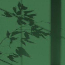 Algo Peint.intér.déco multi-supports vert sapin du jura satin 5 L - Image 2