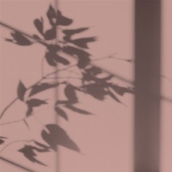 Algo Peint.intér.déco multi-supports rose aurore satin 5 L - Image 2