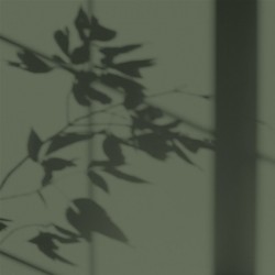 Algo Peint.intér.déco multi-supports vert canopée satin 5 L - Image 2
