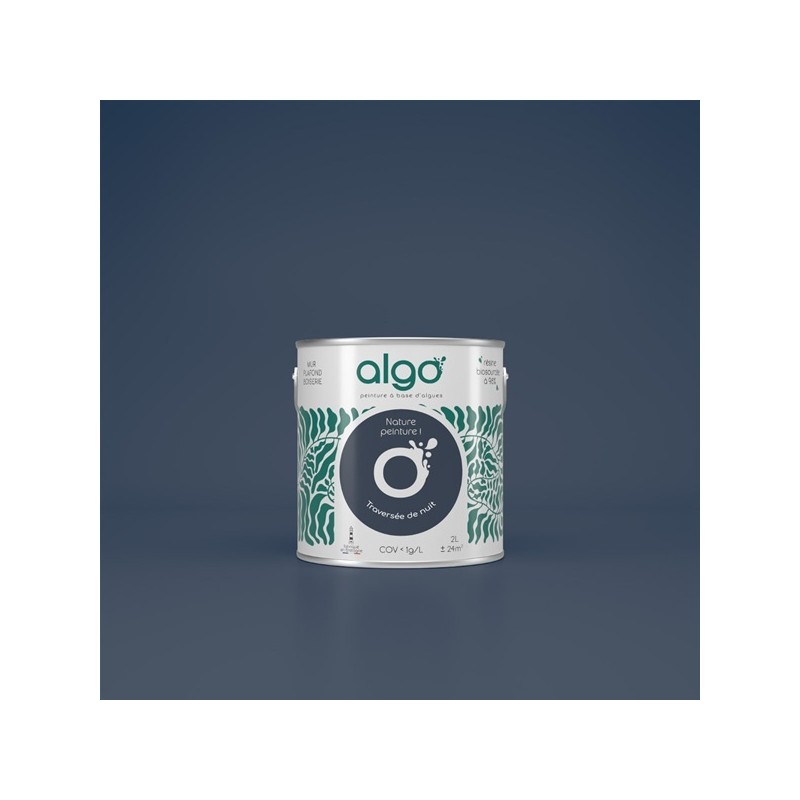 Algo Peint.intér.déco multi-supports traversée de nuit satin 5 L