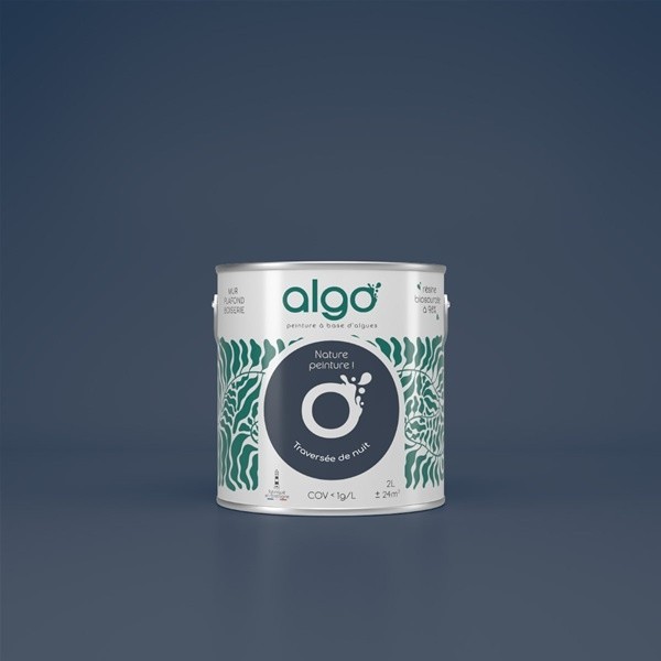 Algo Peint.intér.déco multi-supports traversée de nuit satin 5 L