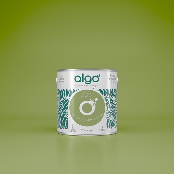 Algo Peint.intér.déco multi-supports vert olive de méditerrannée satin 5 L