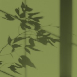 Algo Peint.intér.déco multi-supports vert olive de méditerrannée satin 5 L - Image 2